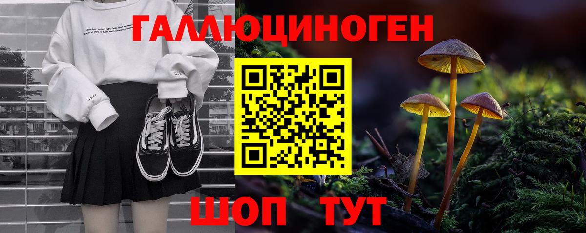 Псилоцибиновые грибы MAGIC MUSHROOMS  Вход с VPN  Сосновоборск 