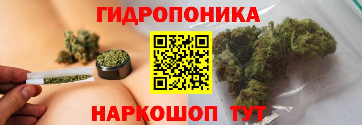 Канабис сатива  Каннабис тримм  Сосновоборск  Бошки марихуана VHQ  Вход с VPN 